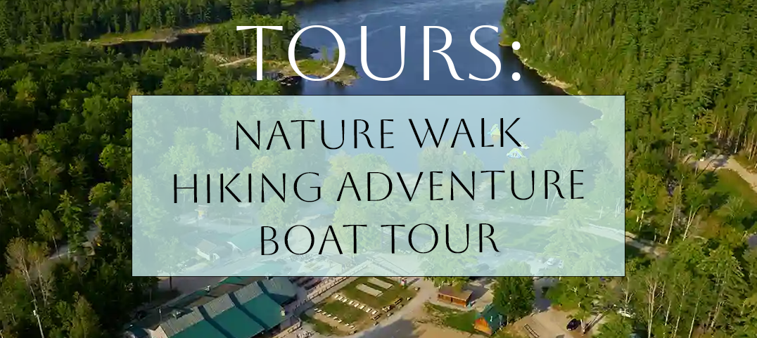 Description of your image